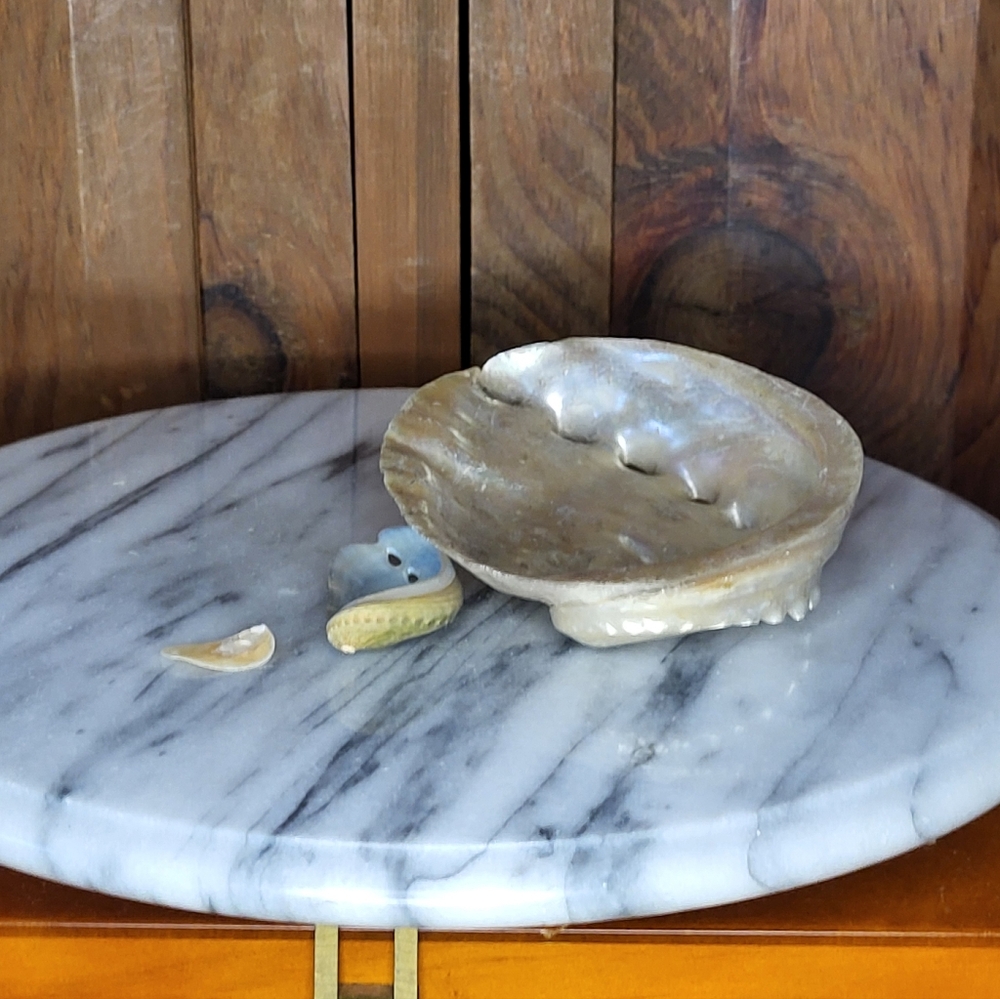 Iridescent Abalone Shell Pair - Picture 13 of 16